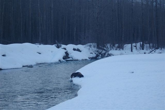 Banff December 2012
